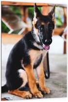 Dibond - Uitgeputte Zwart / Bruine Hond - 100x150cm Foto op Aluminium (Met Ophangsysteem)