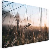 Close up landschap op Canvas | fotoprint op canvas | Wanddecoratie - 100x75cm