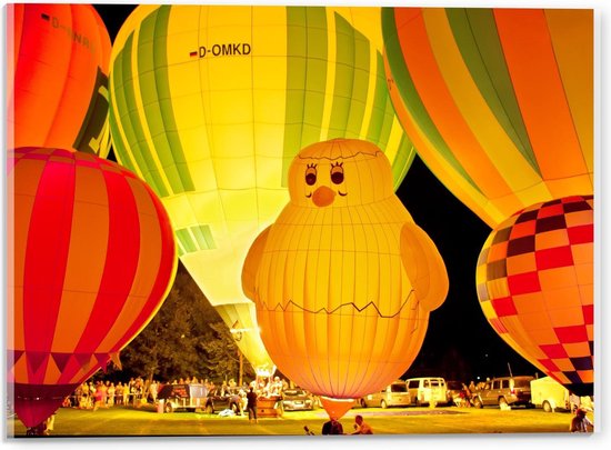 Acrylglas - Luchtballonnen met Eend Luchtballon - 40x30cm Foto op Acrylglas (Wanddecoratie op Acrylglas)
