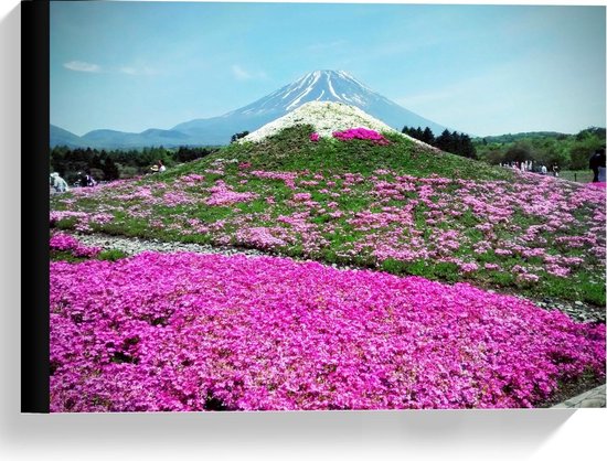 Canvas  - Berg met Roze Bloemen - 40x30cm Foto op Canvas Schilderij (Wanddecoratie op Canvas)