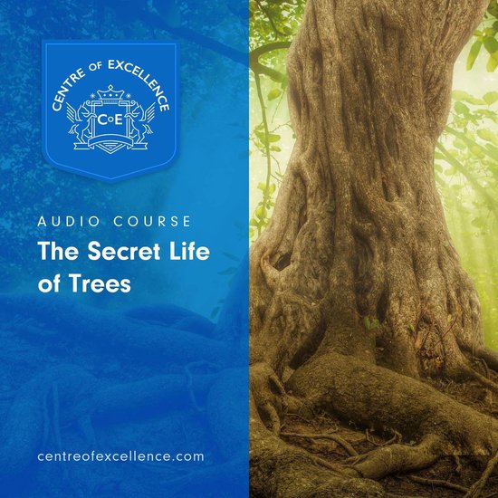 The Secret Life of Trees - cover