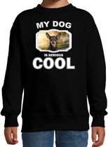 Dwergpinscher honden trui / sweater my dog is serious cool zwart - kinderen - Dwergpinschers liefhebber cadeau sweaters 7-8 jaar (122/128)