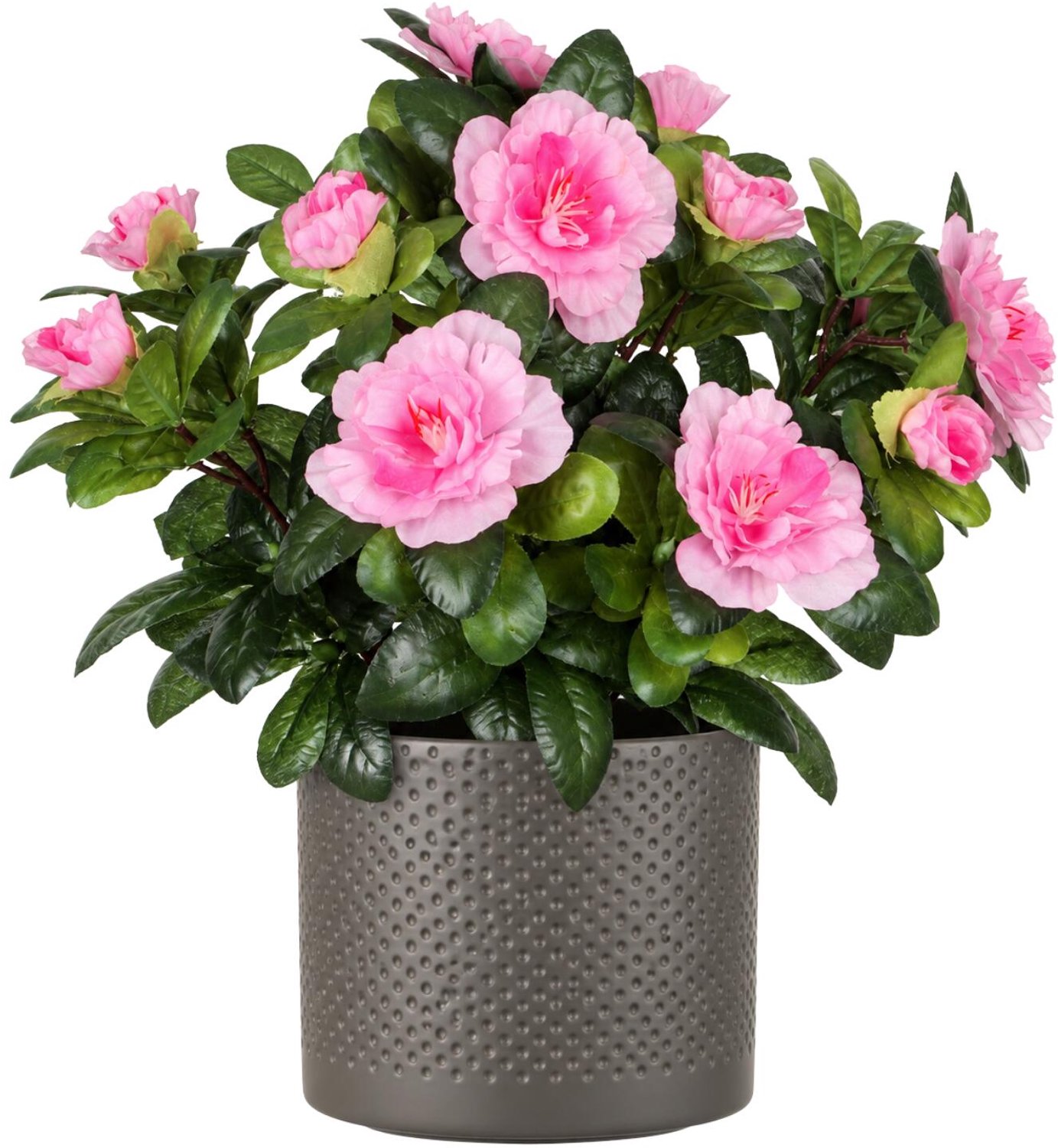 Mica Decorations Kunstplant - Azalea roze - H27 cm - in antraciet bloempot - keramiek - complete set van pot en plant - decoratie stuk