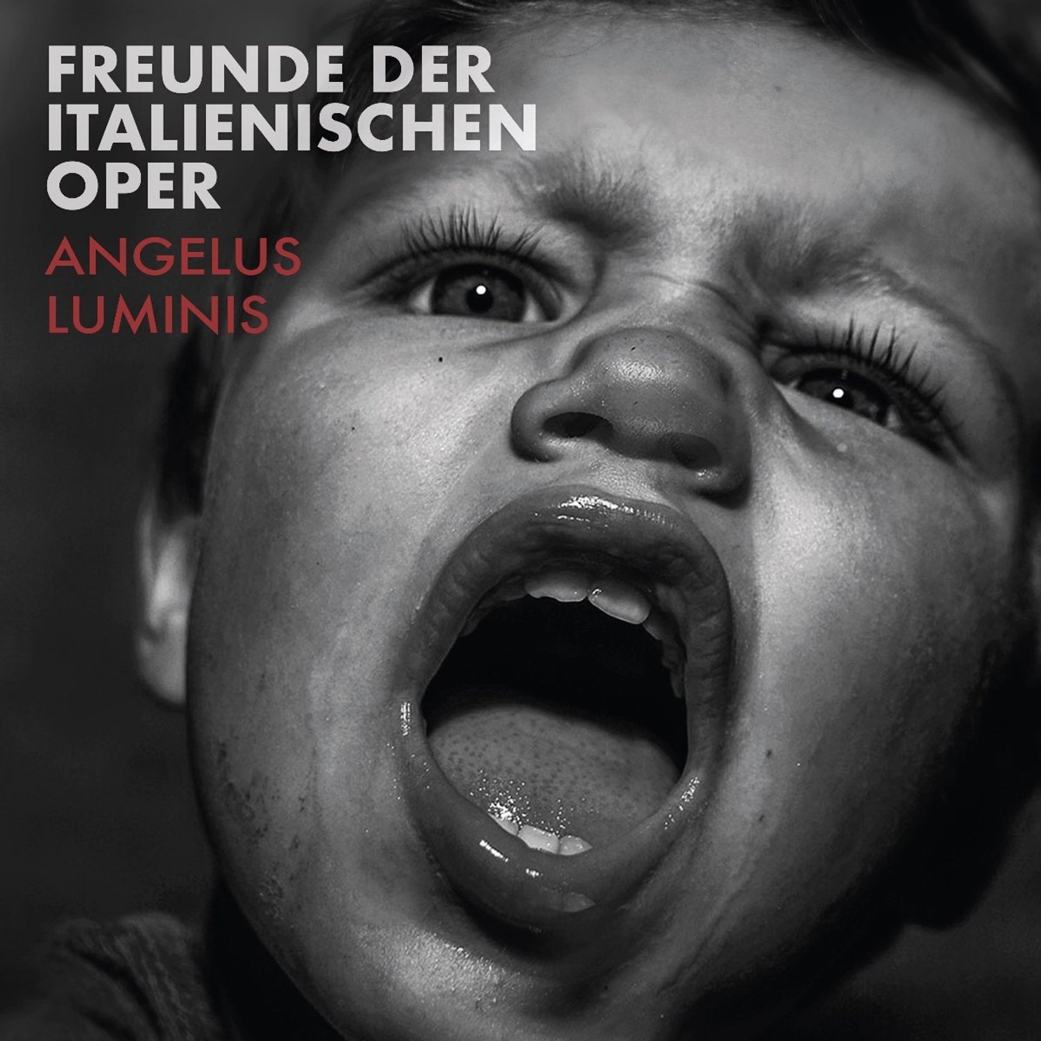 Freunde Der Italienischen Oper - Angelus Luminis (CD)