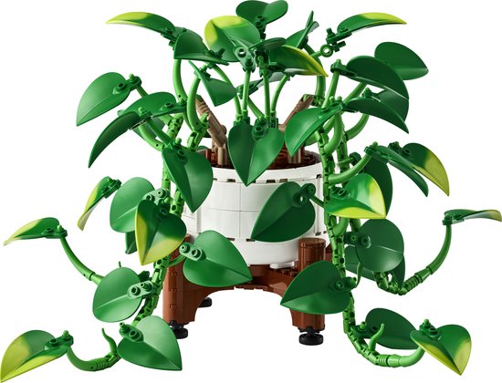 LEGO Botanicals Hangende Drakenklimop Planten Bouwpakket voor Volwassenen - 11512 — cadeau in Spellen & Speelgoed - foto 7