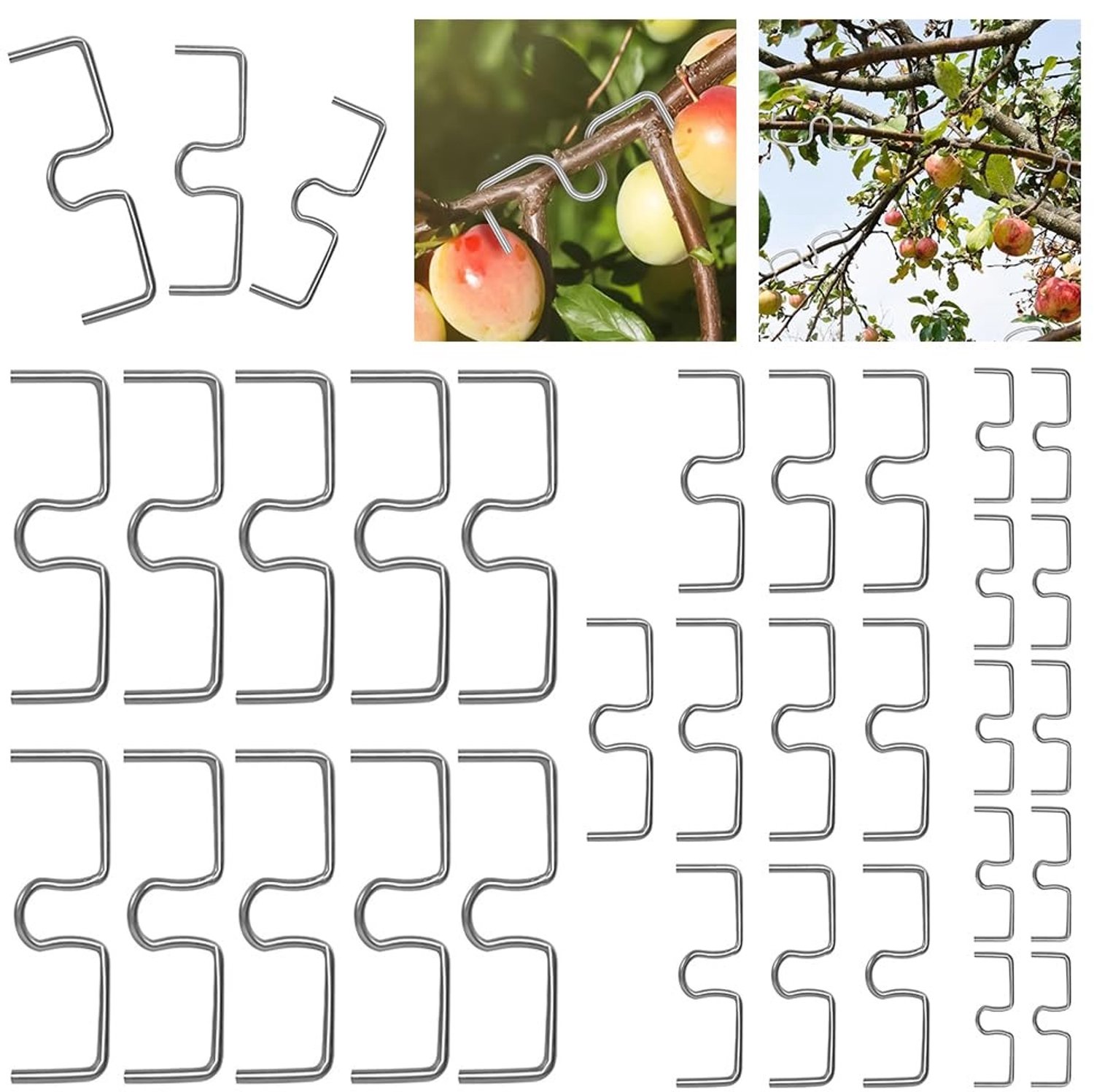 Famanu – Takspreider voor Fruitbomen, 30 Stuks, 14.5/11.5/9 cm, Robuust en Herbruikbaar