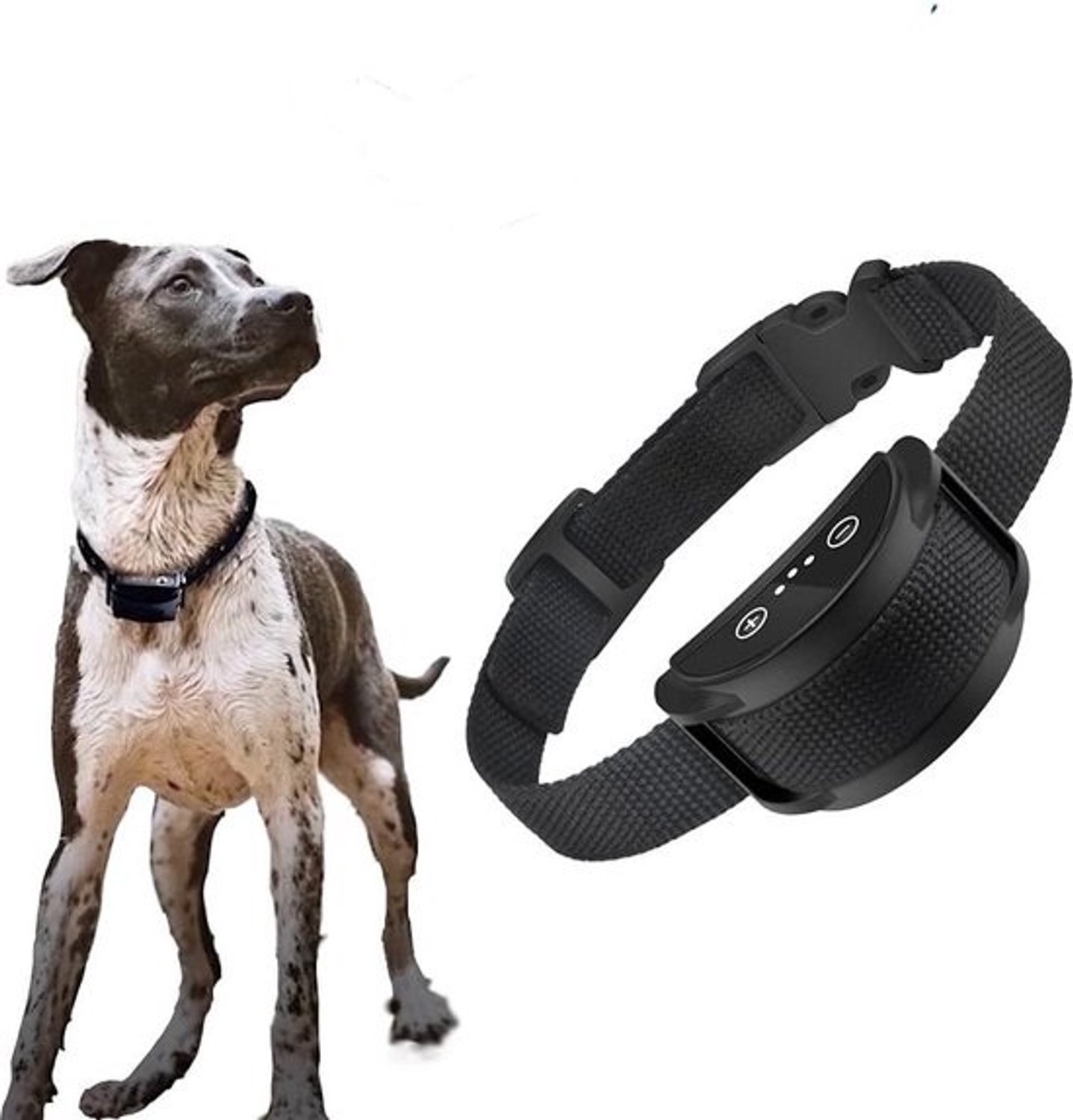 Antiblafapparaat voor honden - Briller, halsband zonder schok voor kleine, middelgrote en grote honden met geluid en vibratie - Antiblafapparaat