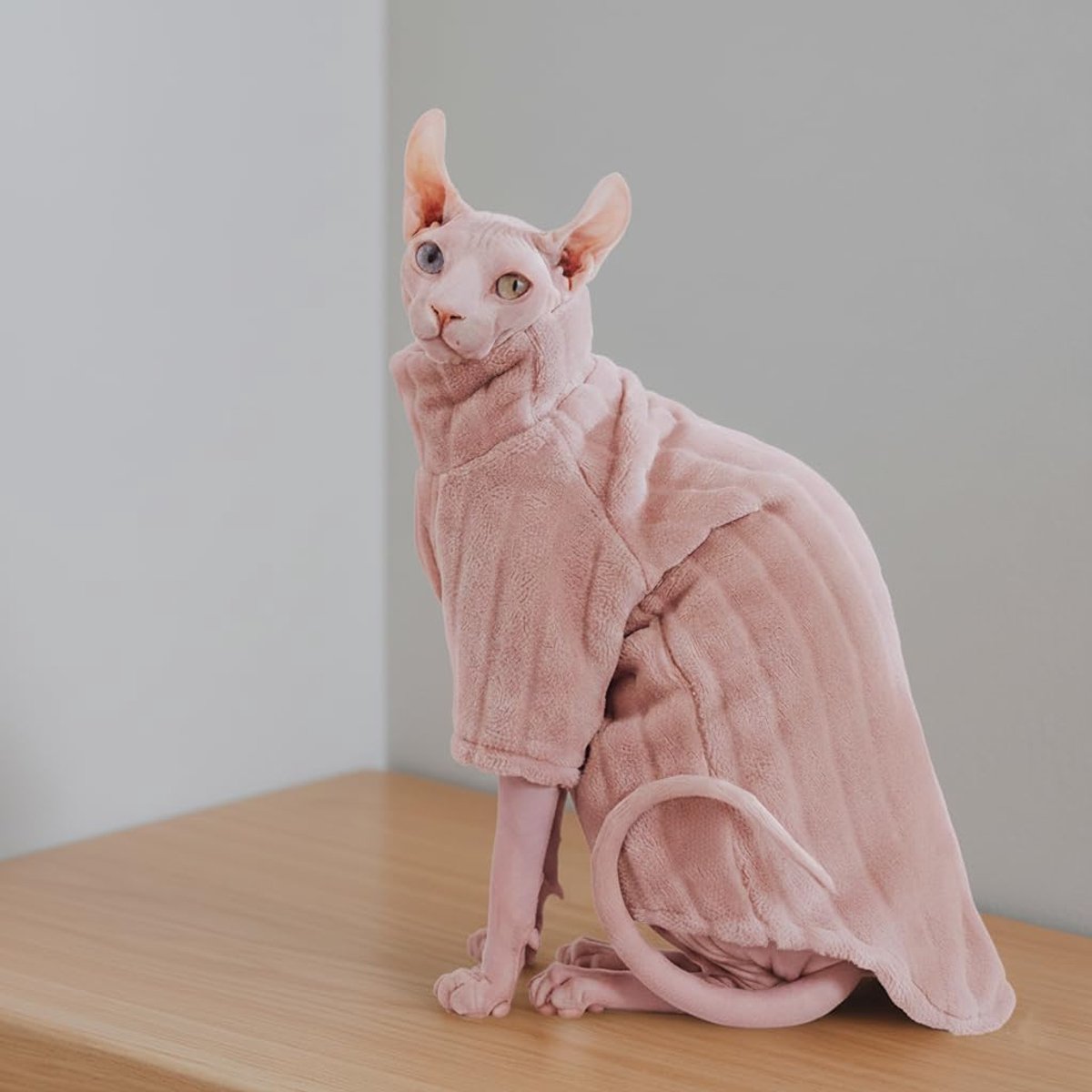 Gezellige winter kat kleding - warme capuchon sfinx jas met pluche strepen, perfect voor halloween kat kostuums en herfst-L