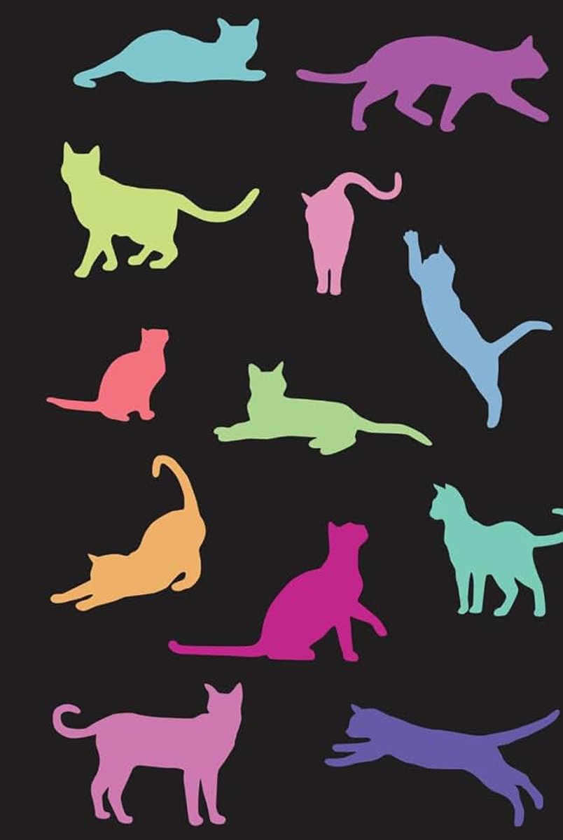 Multi Color Cat Journal