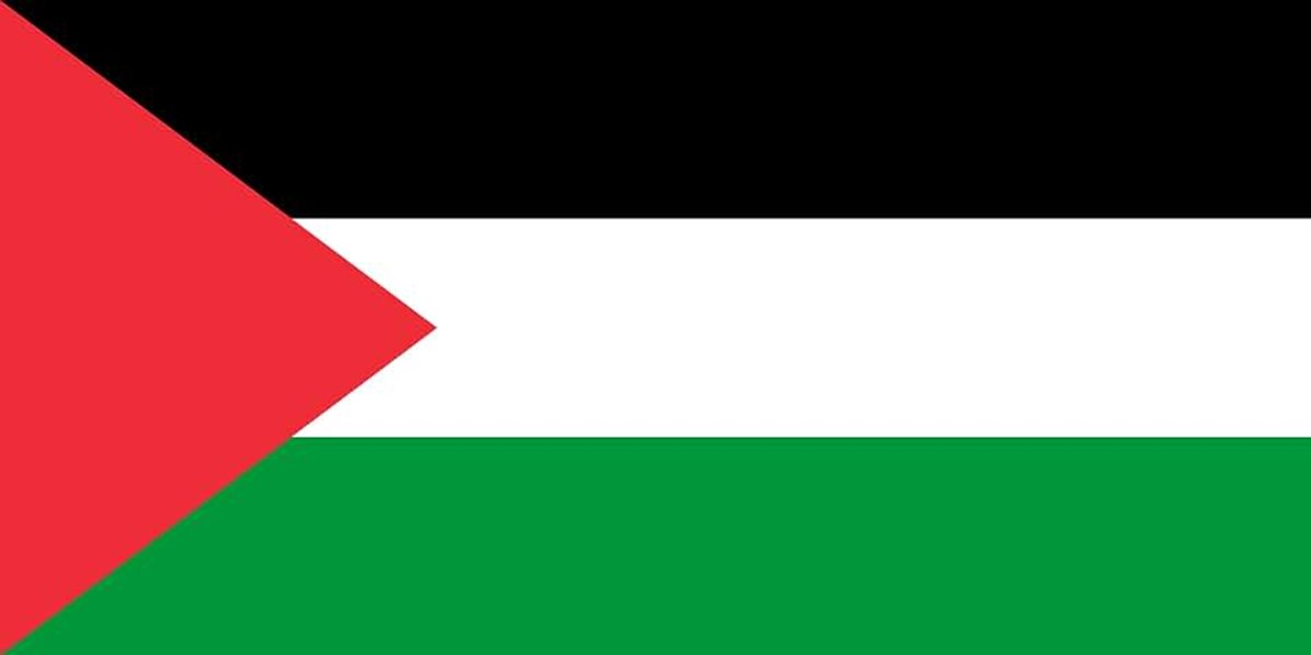 Premium vlaggen - 90 x 150 cm / 150 cm 90 cm - van polyester met gouden oogjes - duurzaam en weerbestendig (Palestina)