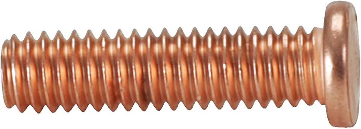 Tools 500.8579 Schroeven M4x16mm verkoperd, 100 per pak