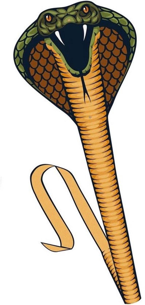 Vlieger Cobra - indrukwekkende slangvormige silhouetvlieger - 69 x 400 cm - opwindgreep en touw