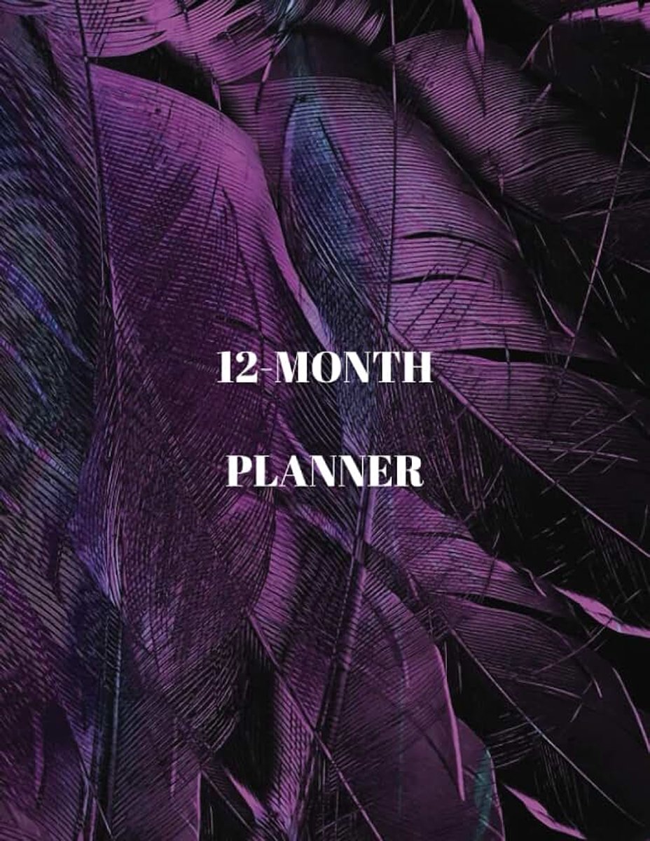 12 Month Planner 8.5" X 11" 12 month Calendar plus note pages