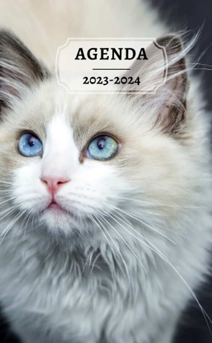 2023-2024: Planificateur Hebdomadaire 18 Mois, pages lignées à droite, couverture souple, Grand Format 13 x 21 cm, 163 Pages sur papier crème 90gr/m², chat