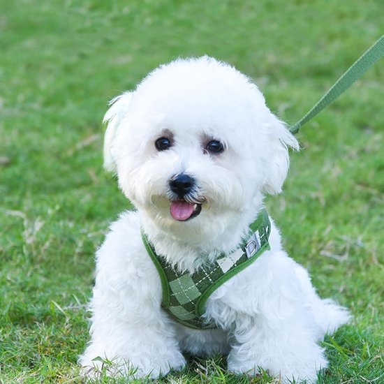 Instaptuigje voor Kleine Honden, Trekt Niet, Puppytuigje, Verstelbaar, Reflecterend Geruit, Gemakkelijk Lopen, Lichtgewicht, Zacht Mesh Huisdiertuigje, Tuigjes met Riem voor Puppies, Kleine — afbeelding 4