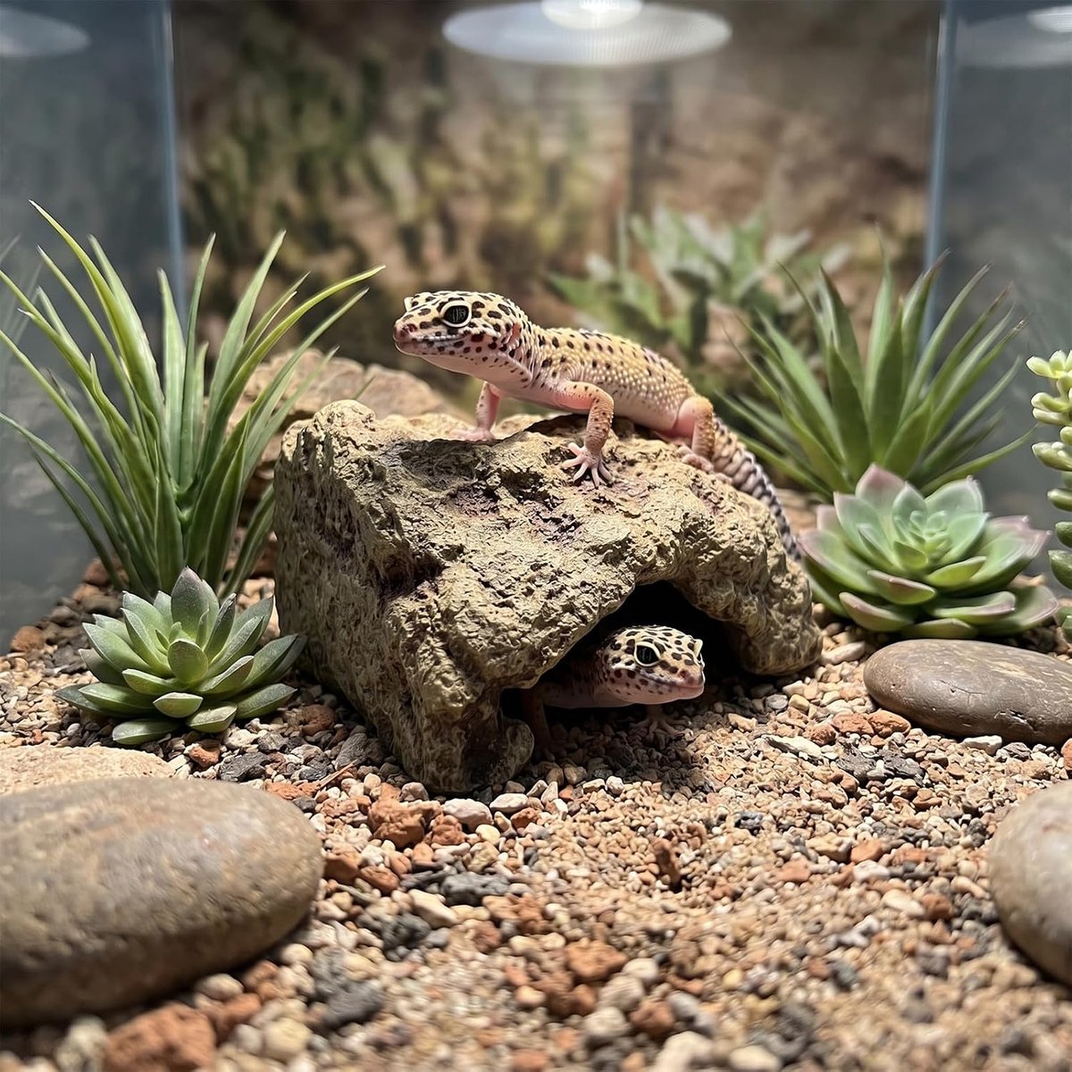 Verstopplaats voor reptielen, kunsthars, reptielenverstopplaats, 12,5 × 9 × 7 cm, reptielenstenen, verstopplaats voor reptielen en amfibieën (M)