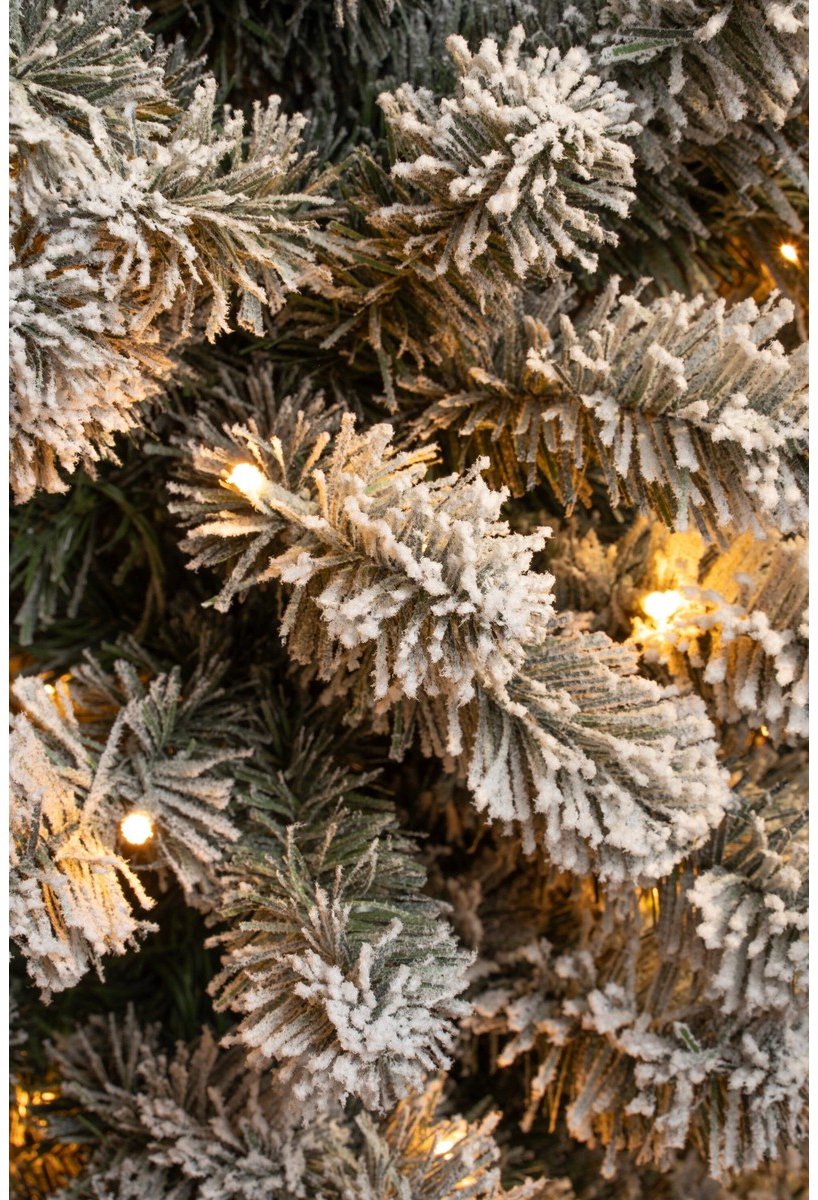 Black Box Trees Charlton Smalle Kunstkerstboom met Warm Witte LED Verlichting - H260 x Ø63 cm - Groen Frosted – foto 5