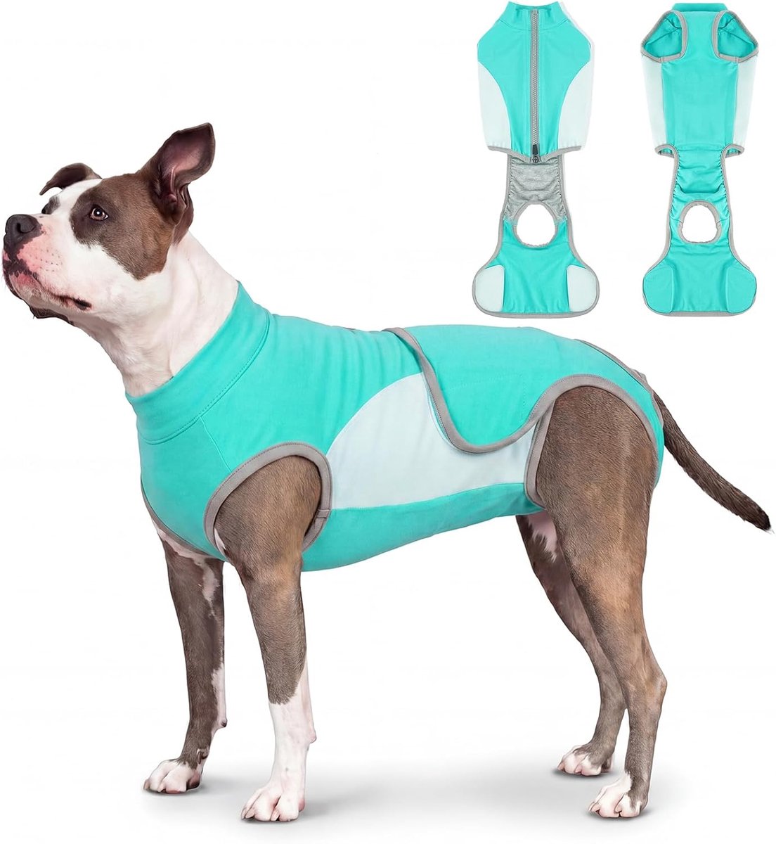 Herstelpak voor honden met ritssluiting, volledige buikdekking, herstelpak, verstelbare klittenband-buikwikkel, alternatief voor kegel, anti-likkende onesie, voor reuen en teefjes, aquablauw, 2XL