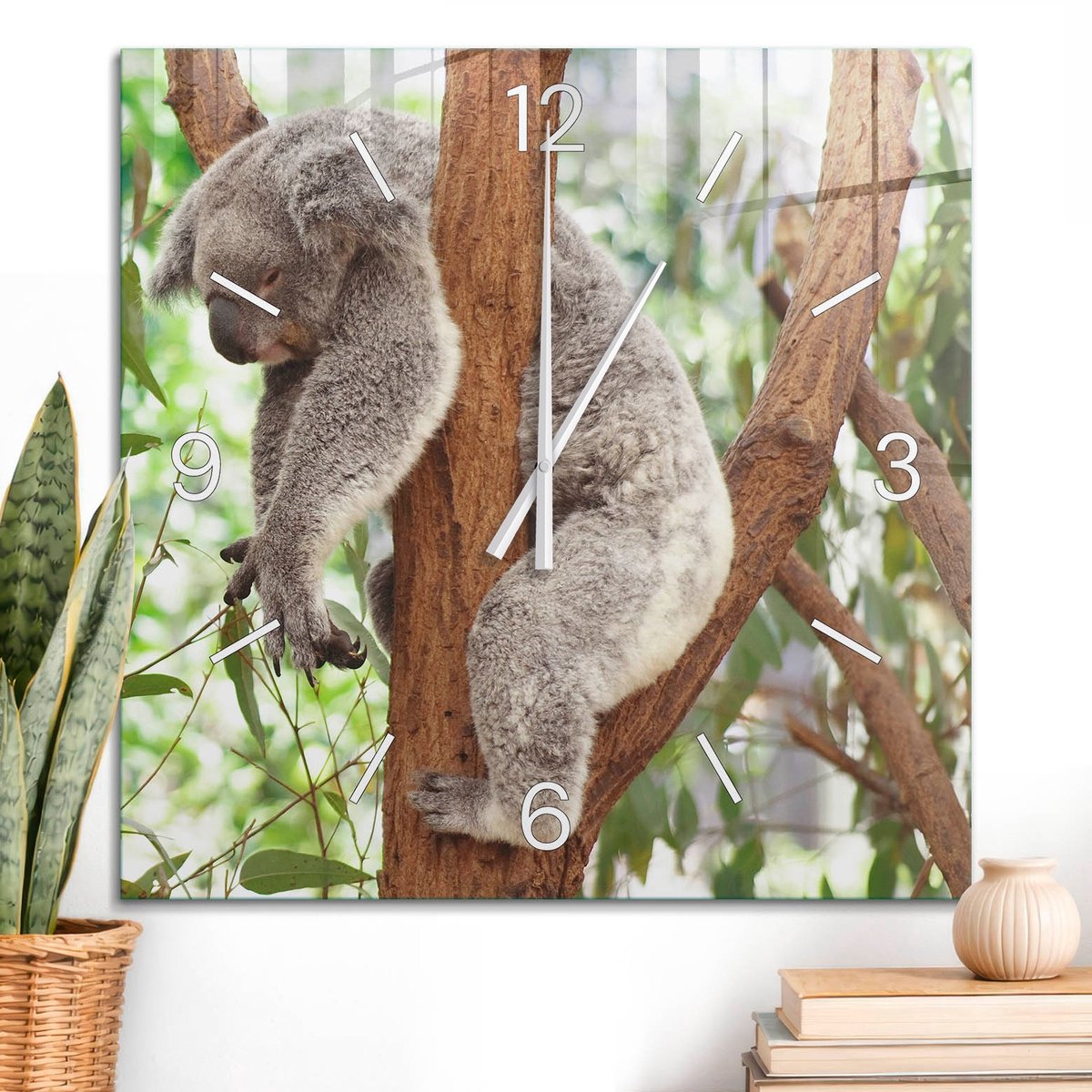 ArtPrintCave Groene Glazen Klok - 60x60 cm - Wandklok Vierkant - Koala Ontspanning Unieke Klok - Natuur Stille Wandklok - Witte Klokwijzers