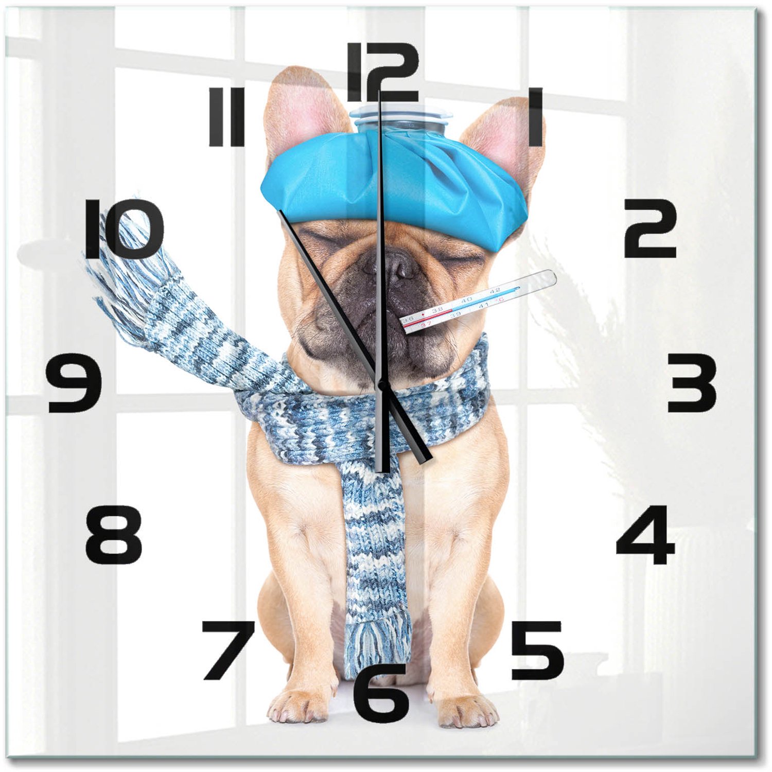 TULUP Wandklok - Zieke hond Wandklok Glas Decoratie - 60x60 cm - Blauw Gekleurde Glazen Klok - Zwarte handen - Vierkante Klok - Klok Glas Met Opdruk - Moderne Wandklok Glas