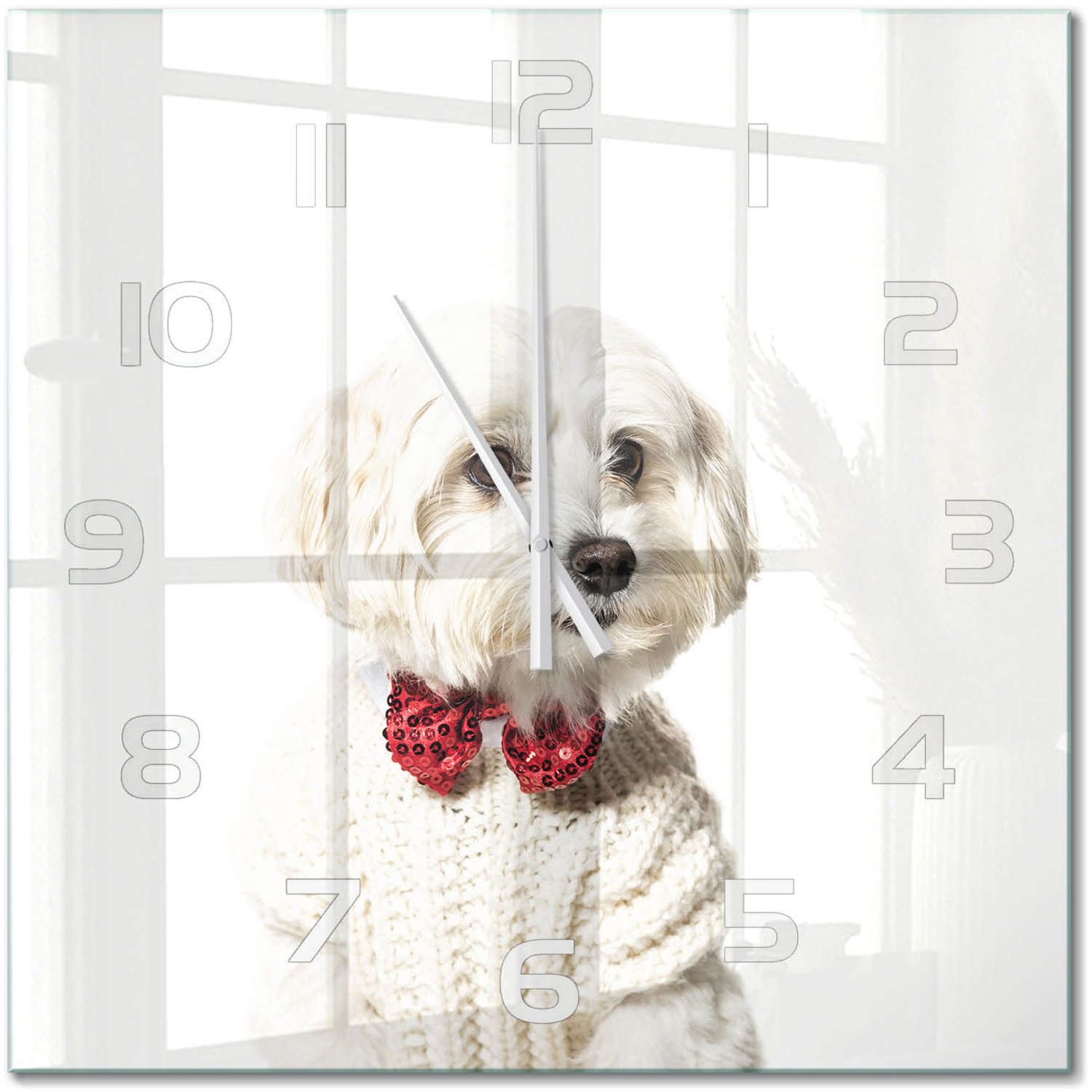 TULUP Wandklok - Maltezer met een vlinderdas Wandklok Glas Decoratie - 60x60 cm - Rood Gekleurde Glazen Klok - Witte handen - Vierkante Klok - Klok Glas Met Opdruk - Moderne Wandklok Glas