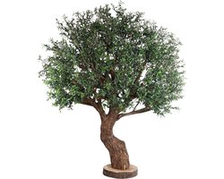 PTMD Tree Green Big Olive Tree Real Wooden Trunk Bark