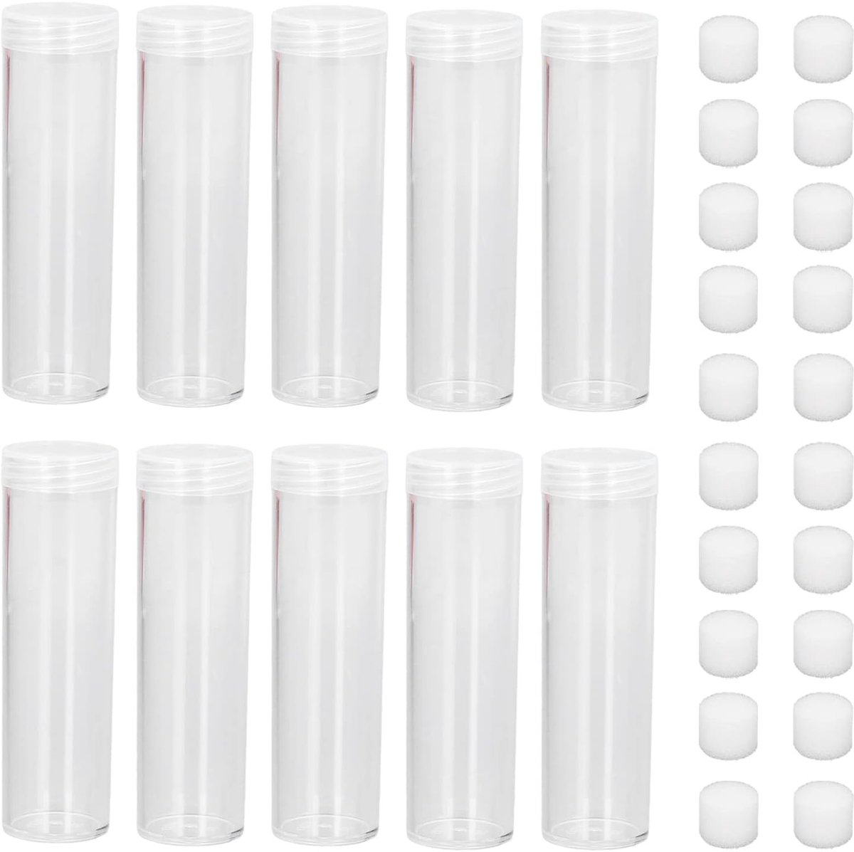 Ronde Doorzichtige Muntbuizen voor Muntopslag, Plastic Muntopslagbuizen met Spons voor 25 mm Munten, Ideaal voor Verzamelaars en Bescherming van Munten