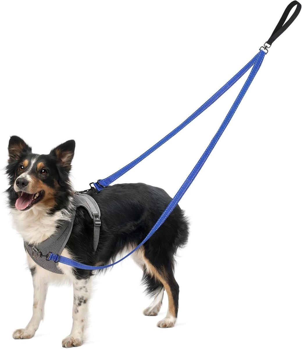 Anti-trekriem voor honden, dubbele bevestiging, met 360 graden draaibare clip, reflecterende riem voor controle, training en wandelingen, comfortabel en verstelbaar, voor middelgrote en grote honden