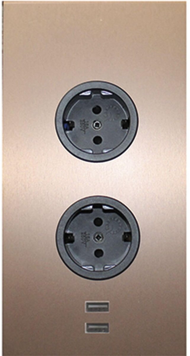 2ST220 - stopcontact 2-voudig met 2 x USB voor verticale montage in een hoek, roestvrij staal, 230 V
