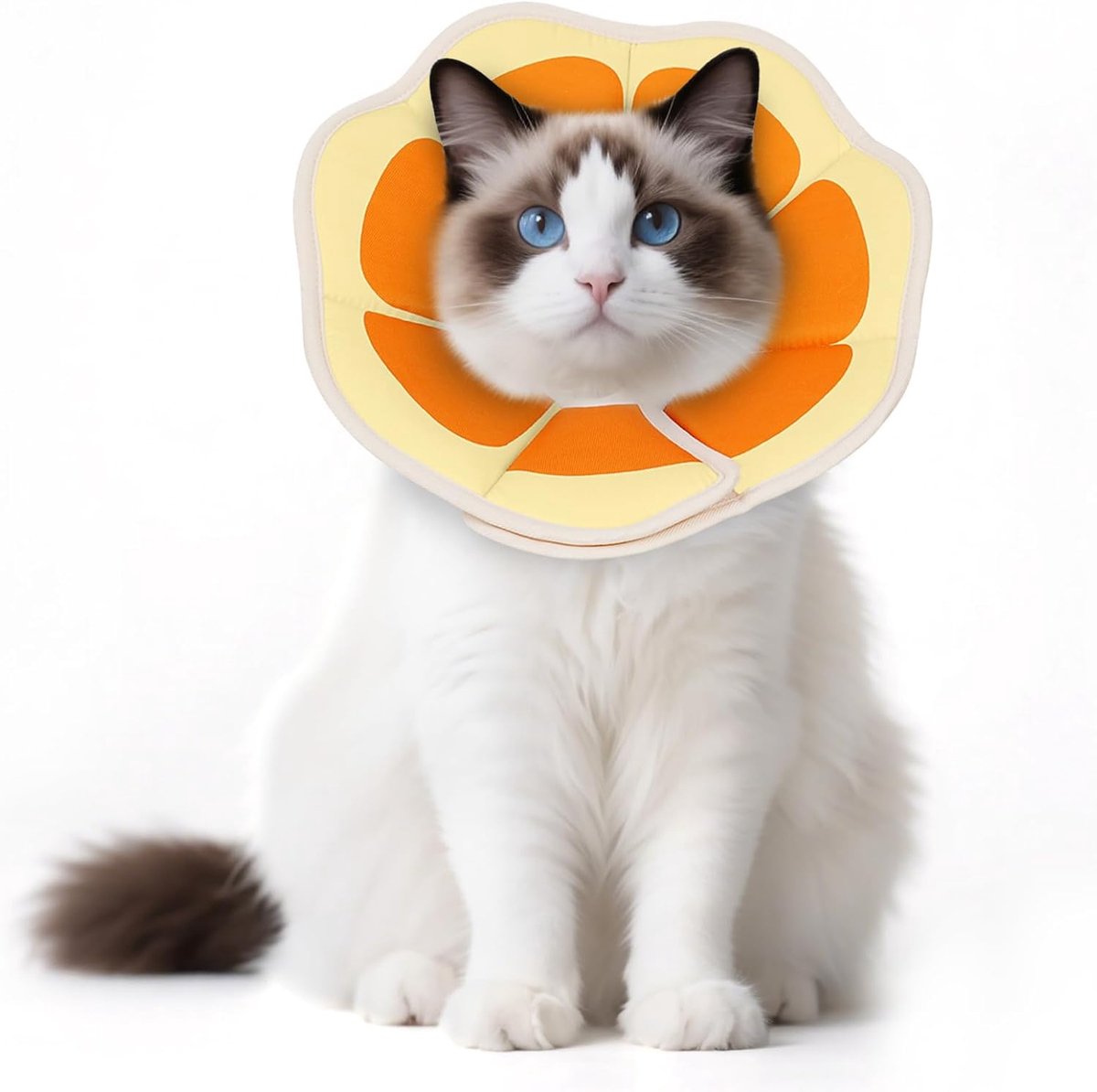 Kattenhalsband, zacht, verstelbare halsband voor na operatie, sterilisatie en huidverzorging, comfortabele, wasbare kattenkraag, voor huisdieren in S/M/L (grapefruit, M)