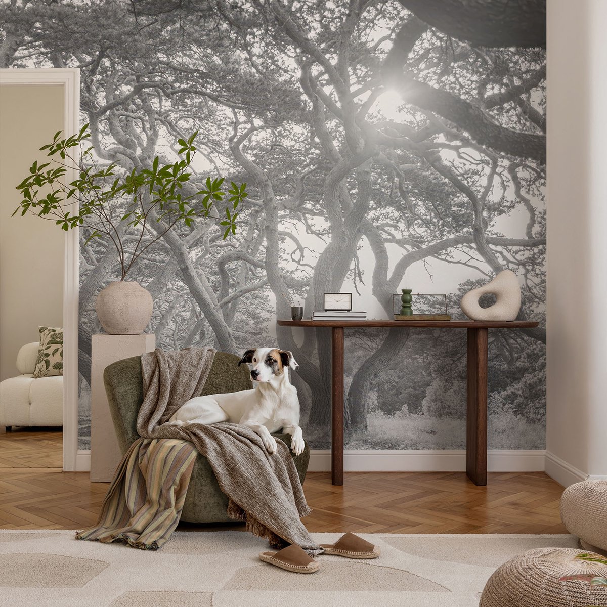 Coloray Vliesbehang - Zwart-Wit Snellijm Behang - 104x70 cm - Atmosferisch Bos Muurschildering - Slaapkamer behang Landschappen - Fotobehang Vlies - Slaapkamer behang