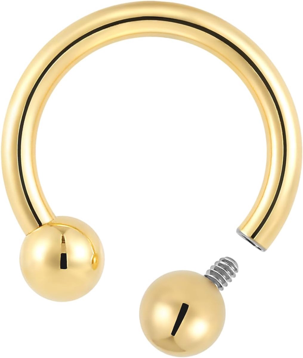 2 STKS Titanium Implantaat Grade Intern Schroefdraad Neus Ringen Hoefijzer Barbell Septum Sieraden 16G 14G 12G 10G Neus Oor Piercing Sieraden Conch Helix Rook Lip