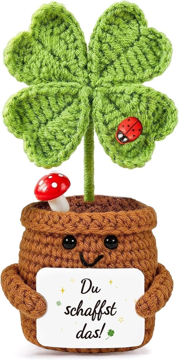 Schaffst Das Motivatiegeschenken, geluksbrenger, cadeau voor adventskalender, kinderen en vrouwen, Pocket Hug Positive, gehaakte bloemen, geluksklaver, veel geluk, bedankgeschenken