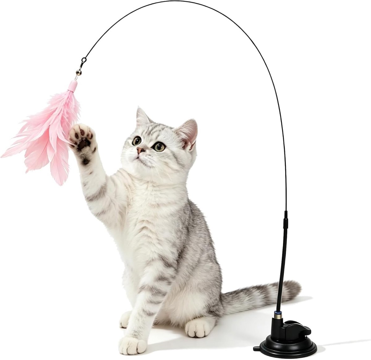 Kattenhengel met zuignap, interactief kattenspeelgoed 95