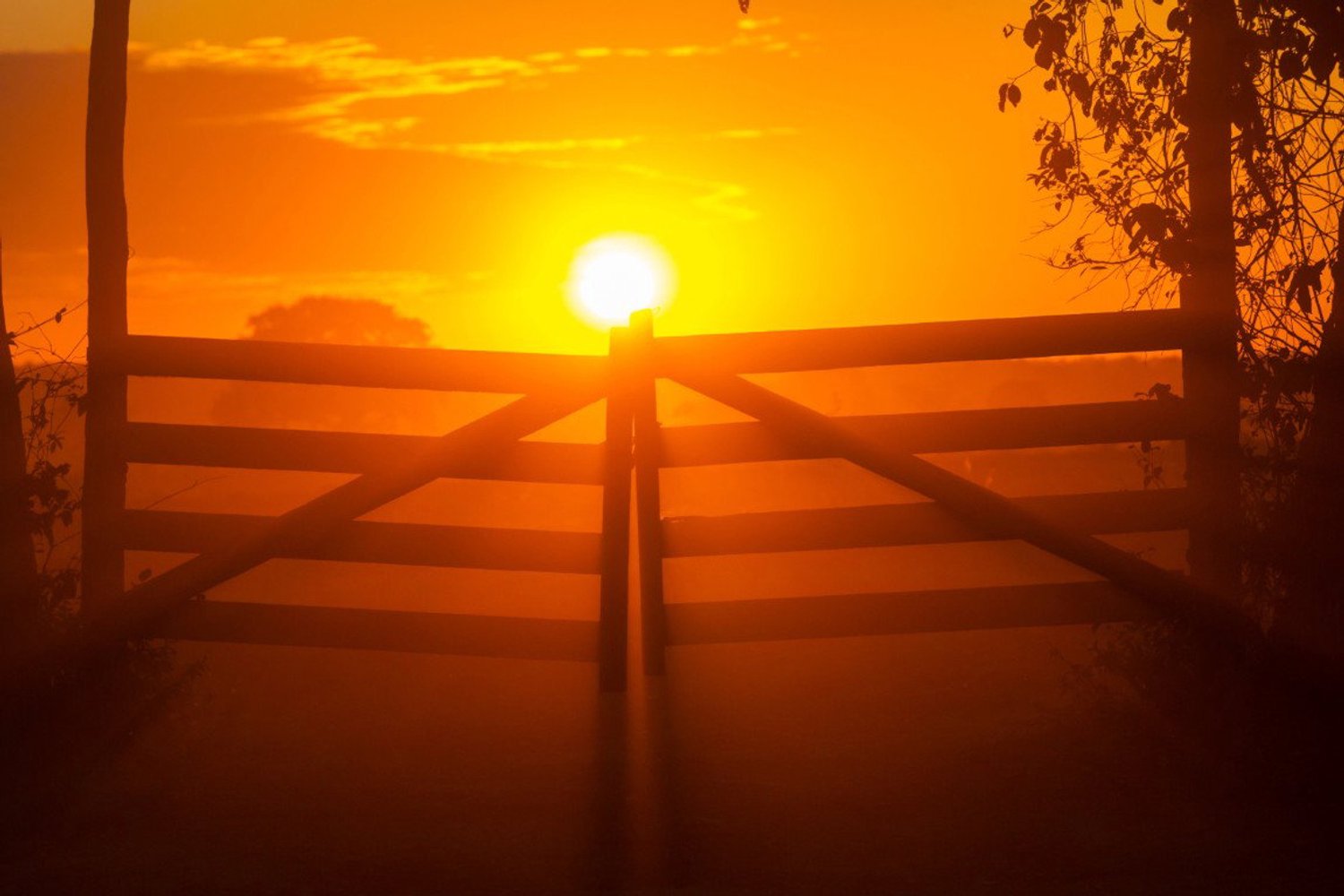Vgdesign Zonsondergang achter hek 130x70 cm tuinposter banner VGDesign onbekend