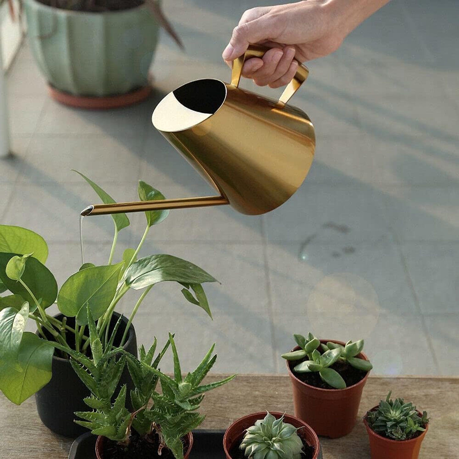Gieter, 1500 ml roestvrij staal bloemengietan lange hals tuingieter voor potplanten, kamerplanten, terrasplanten, hangplanten en tuinen
