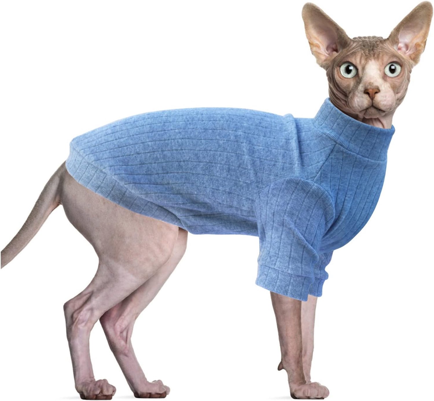 Sphynx haarloze kattenvest met rolkraag, lange mouwen bodysuit kattenkleding, trui voor Sphynx/Cornish Rex/Devon Rex/Peterbald katten