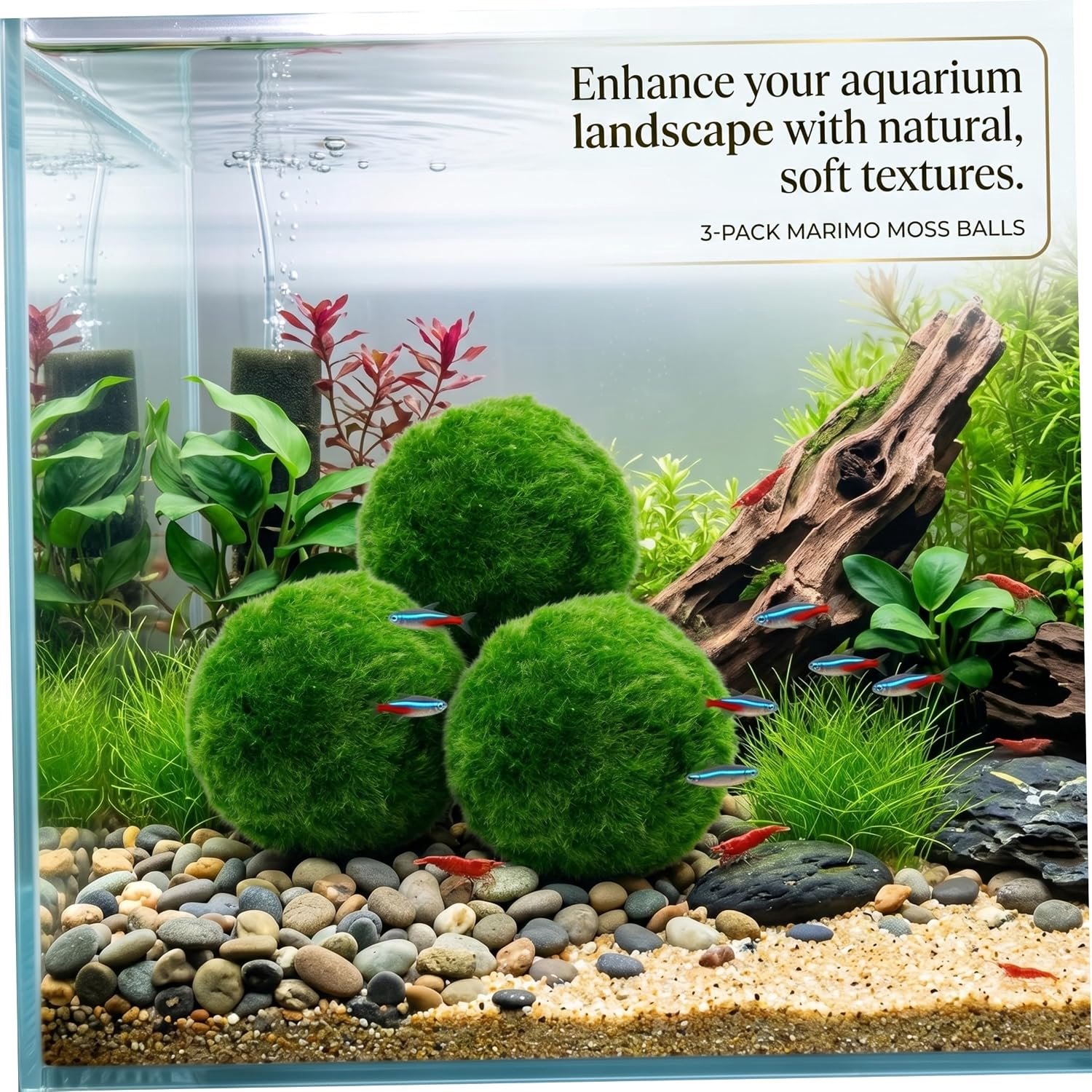 Aquarium Mos, 3 stuks Live Marimo Mosballen Aquarium Decoratieve bal voor Tank Landscaping, Groen.