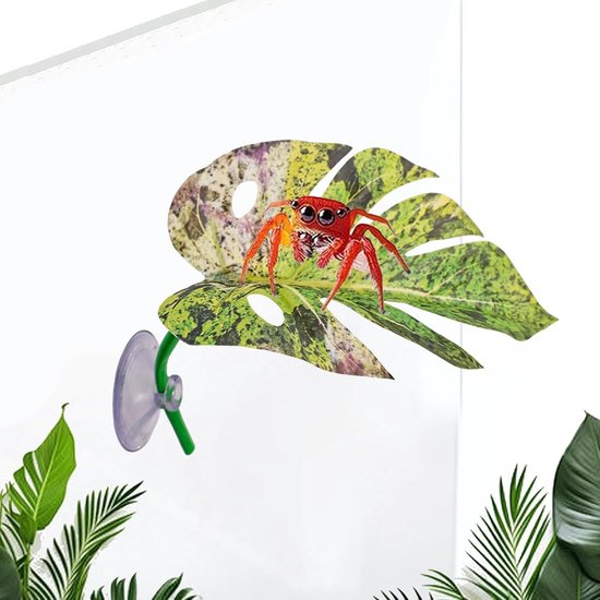 Reptiel Springspin Realistisch Bladvorm Decoratie Met Zuignap — afbeelding 3