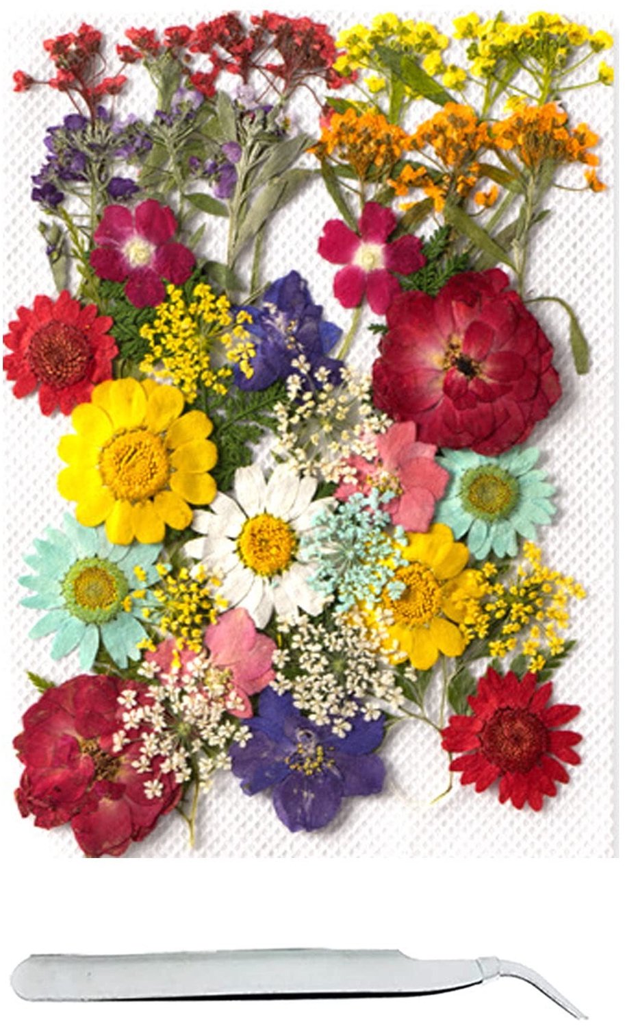 Famanu Set van 40 kleurrijke gedroogde bloemen voor resin en kunstambachten