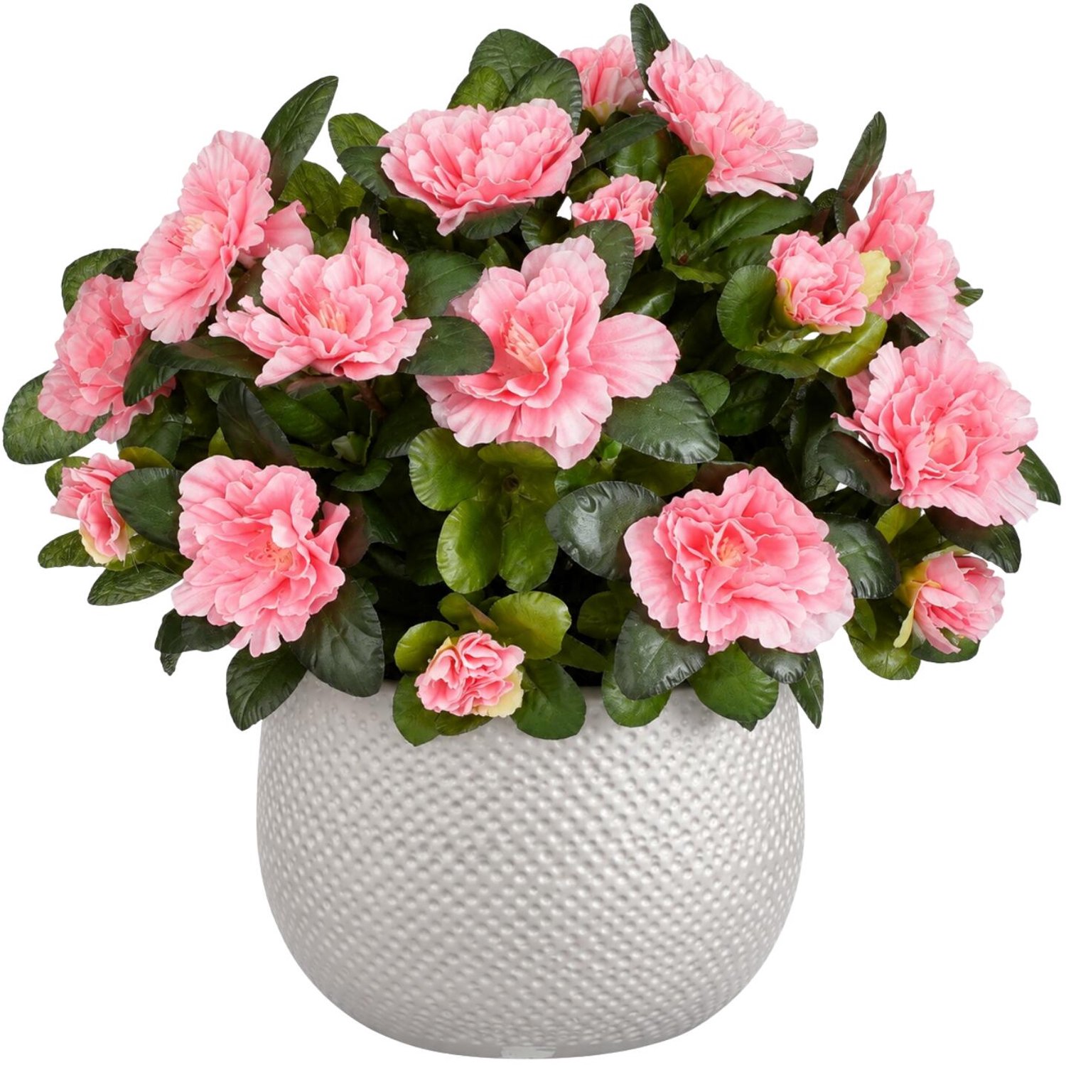 Mica Decorations Kunstplant - Azalea roze - H31 cm - in witte bloempot - keramiek - complete set van pot en plant - decoratie stuk