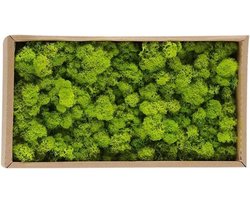 Decoratiemos - Kunstmos voor modellering - Voor huis en tuin - Natuurlijk ogende uitstraling - 500 gram - Legergroen
