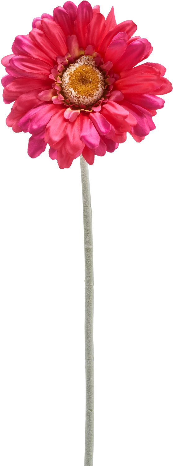 Easyplants | Kunstbloem Gerbera 53 cm bordeaux | Zijde | Nepbloemen | bordeaux | Onderhoudsvrij | Kant-en-klaar