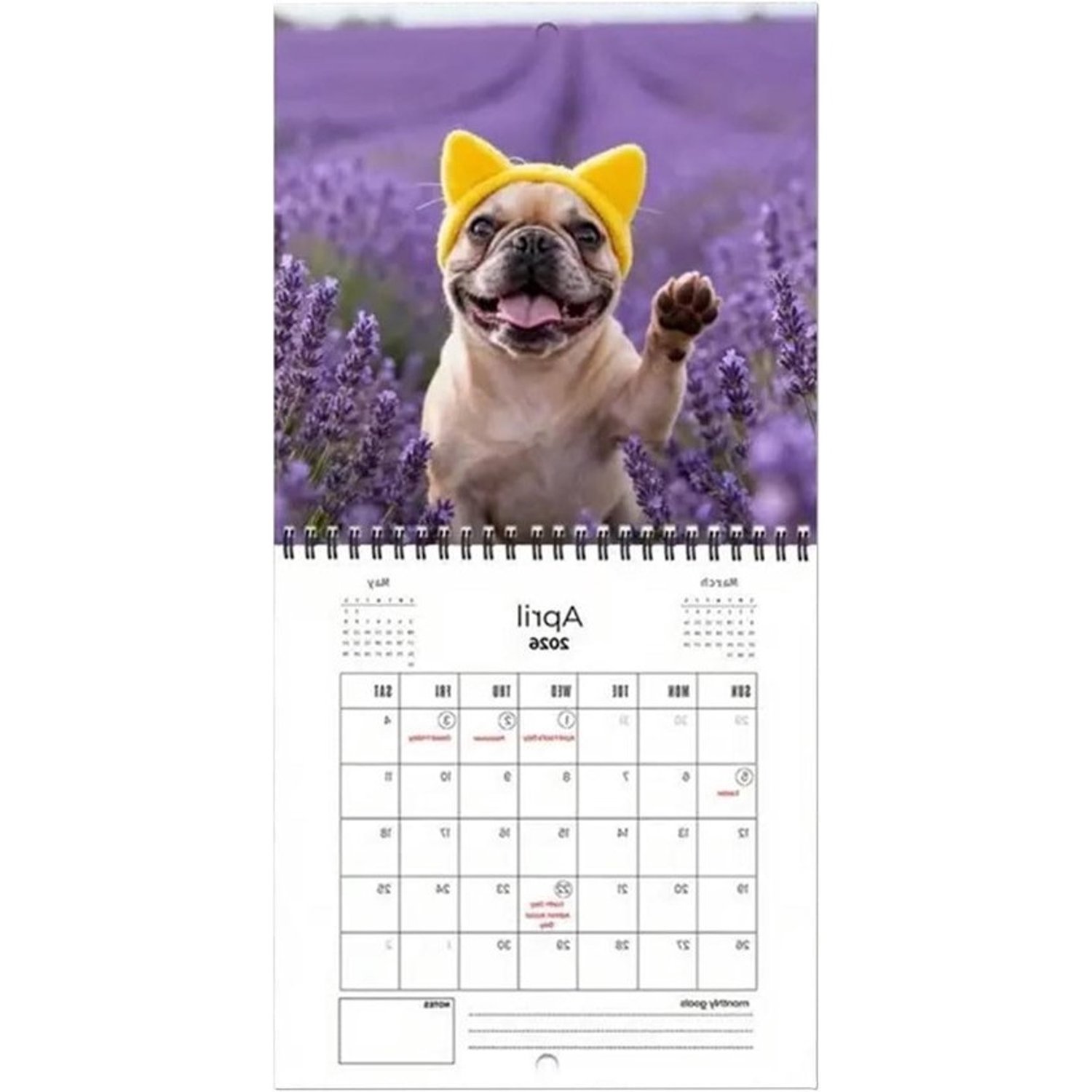 Kalender 2026 - Maandplanner - Planning Maken - Met Bulldog Humor - 21 x 21 cm - Multicolor