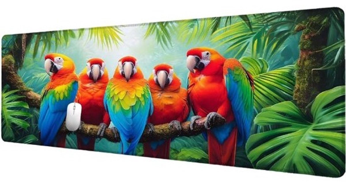 XXL Muismat - Bureauonderlegger Gamingmat - Bureauwerk Gaming - Antislip Rubberen Basis - 800x300 mm - Veelkleurig