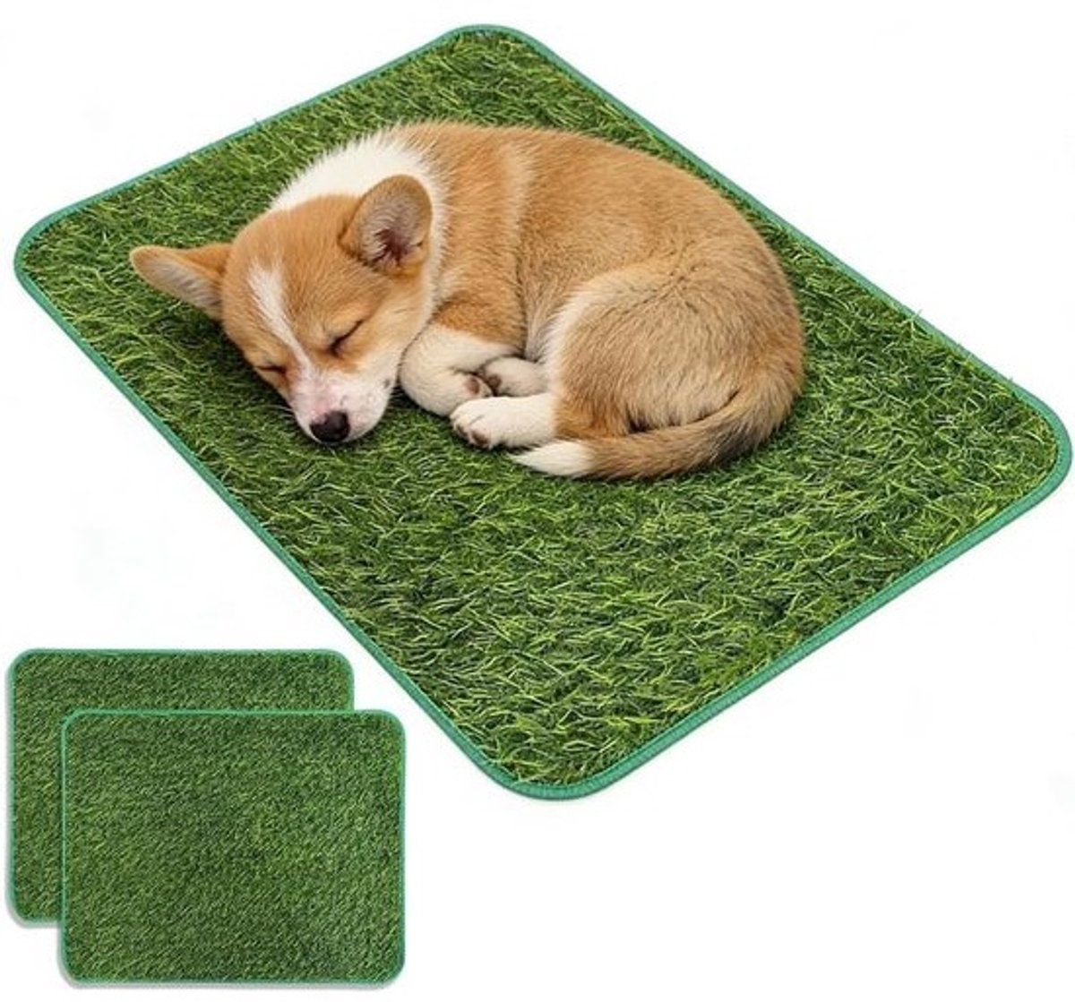 Huisdier Toilet voor Thuis en Balkon: 2 Stuks Kunstgras Hondentoilet met Snelle Afvoer, Wasbare Roll Gras en Puppy Pipimat voor Kleine Honden (58,5 x 46 cm)