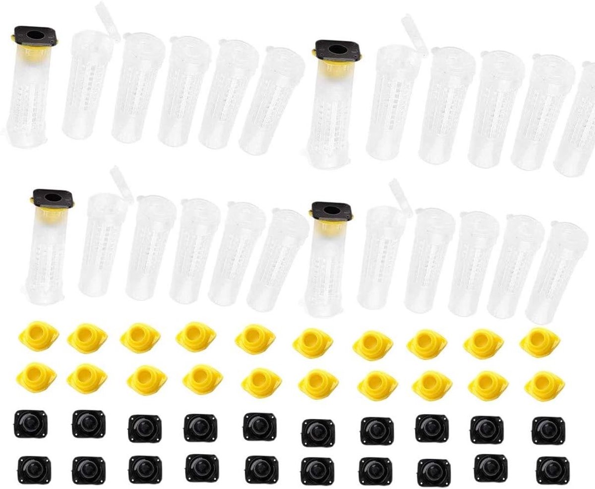 20 stks Bijenteelt Koningin Bee Roller Kooien Queen bee rasing Fokken Mobiele Cup kit Houder Mobiele Armatuur voor nicot Systeem