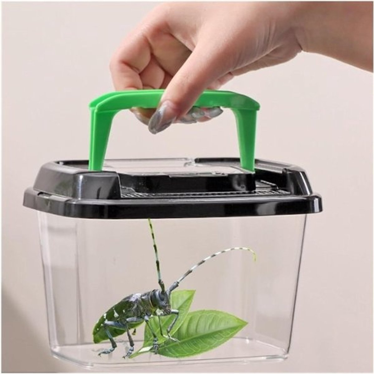 Voederbox Reptielen - Insecten Terrarium - Dieren Observeren - Draagbaar Met Handvat - 17.5 x 11.5 x 11.8 cm - Zwart