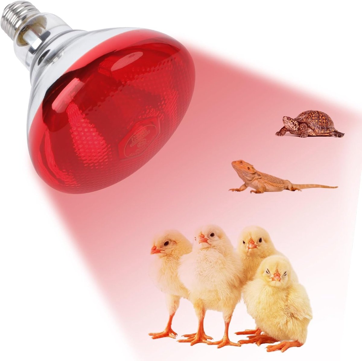 250 watt rode warmtelamp infrarood schijnwerper voor kippen, reptielen en huisdieren