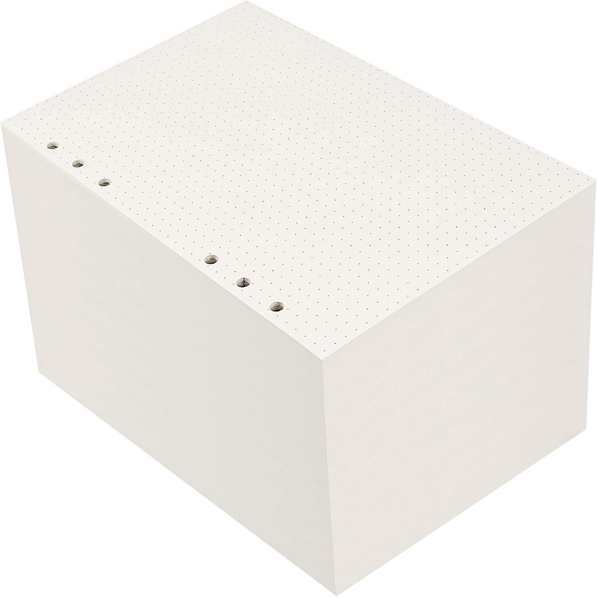Dailygoods- Gestippeld Papier 10 Pack - A5 Navulling - 450 Vellen - 6 Gaten Geponst - 100 gsm Papier - Duurzaam en Sterk - Navulpapier
